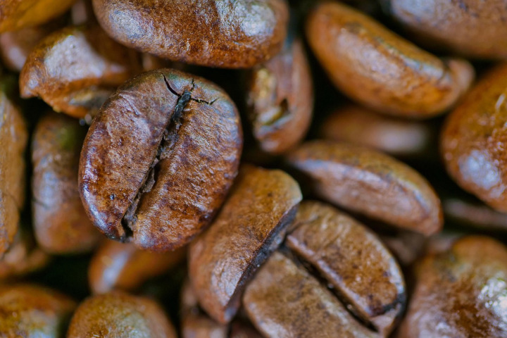green coffee beans raw