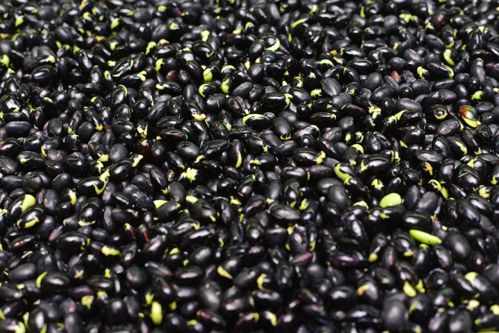 black beans dry